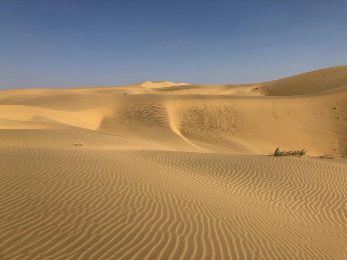 Tofu Hotel & Safari Jaisalmer Εξωτερικό φωτογραφία